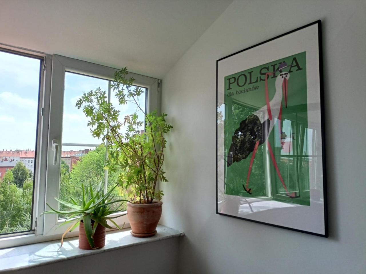 Lemuria Pokoje Hostel Chojnowska A Legnica Luaran gambar