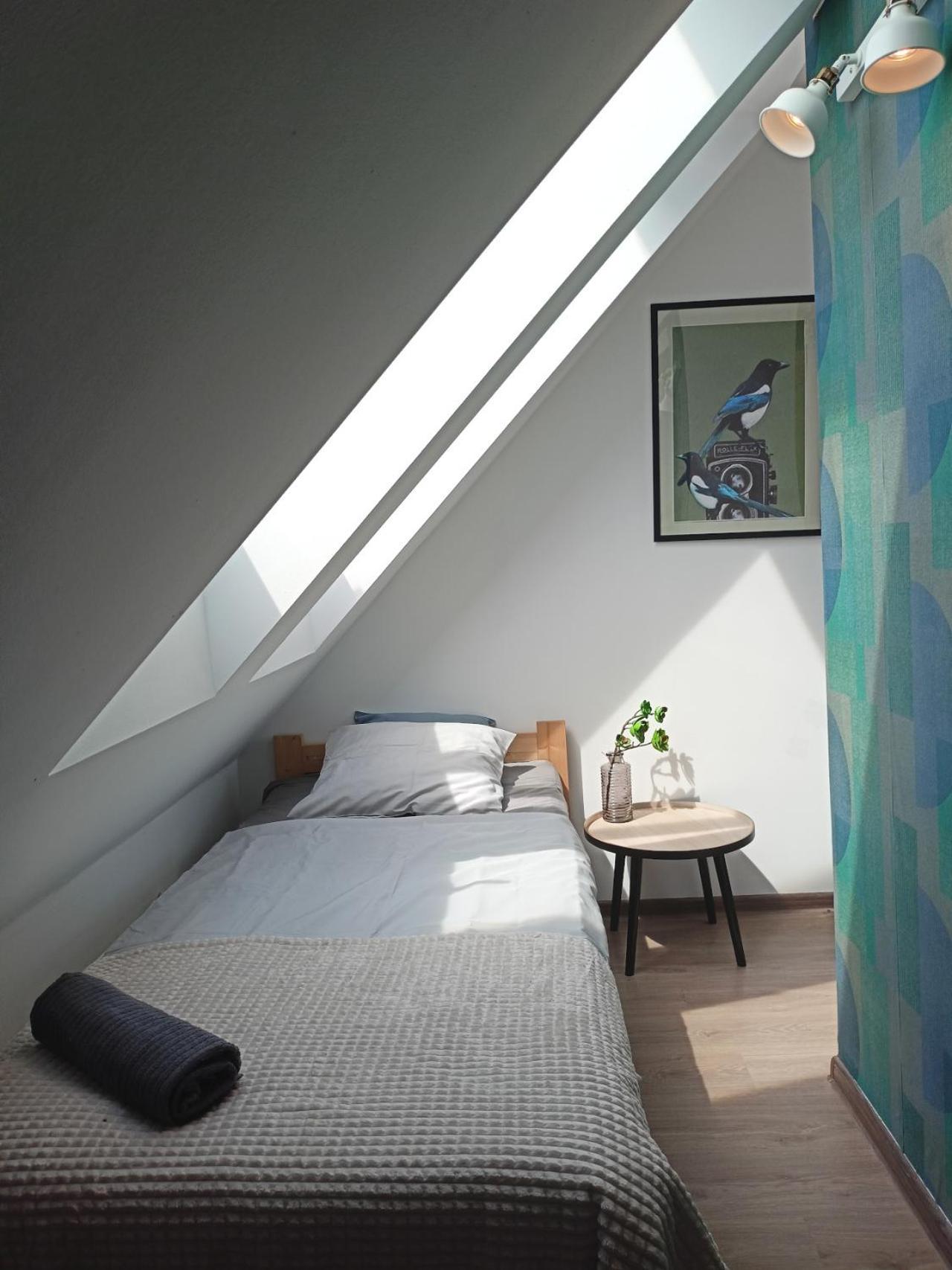 Lemuria Pokoje Hostel Chojnowska A Legnica Luaran gambar