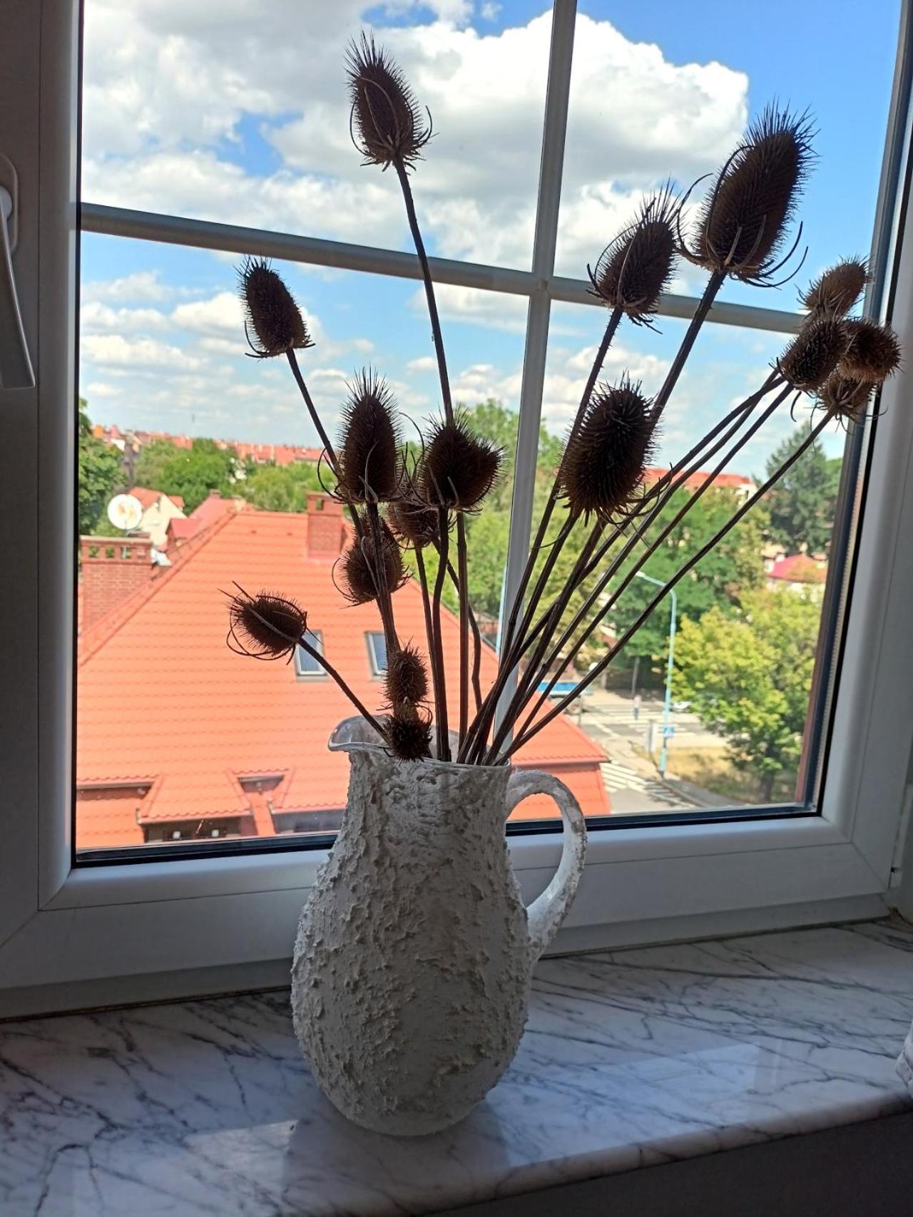 Lemuria Pokoje Hostel Chojnowska A Legnica Luaran gambar